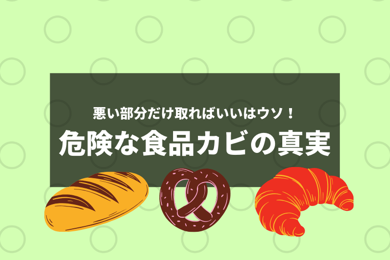 要注意 カビた餅の悪い部分を取れば大丈夫 は危険なウソだった ひでさんぽ 要注意 カビた餅の悪い部分を取れば大丈夫 は危険なウソだった ひでさんぽ